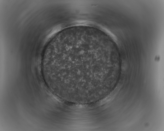 X0000091331411200708171341