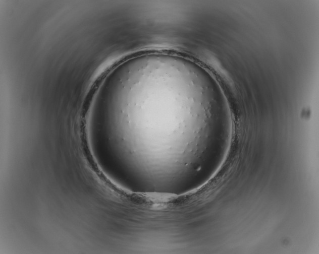 X0000091331412200708171341