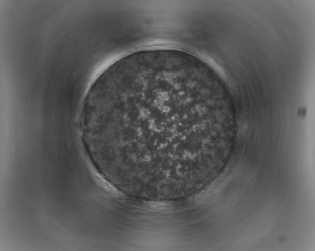 X0000091331413200708171341