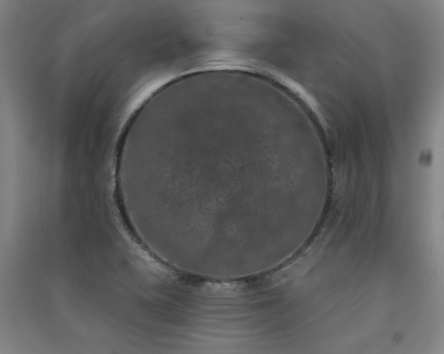 X0000091331415200708171341