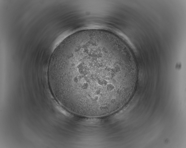 X0000091331417200708171341