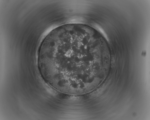 X0000091331419200708171342