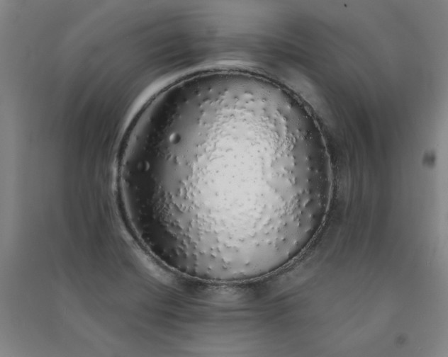 X0000091331420200708171342