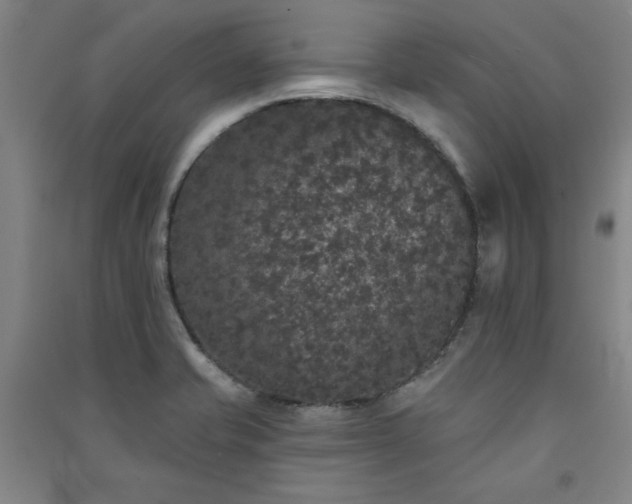 X0000091331421200708171342