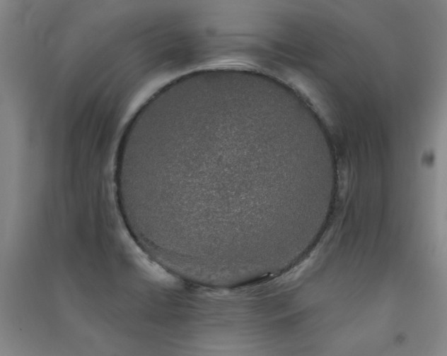 X0000091331422200708171342