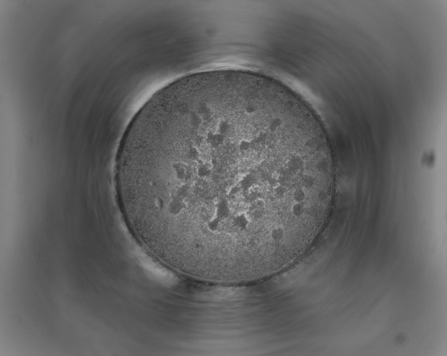 X0000091331423200708171342