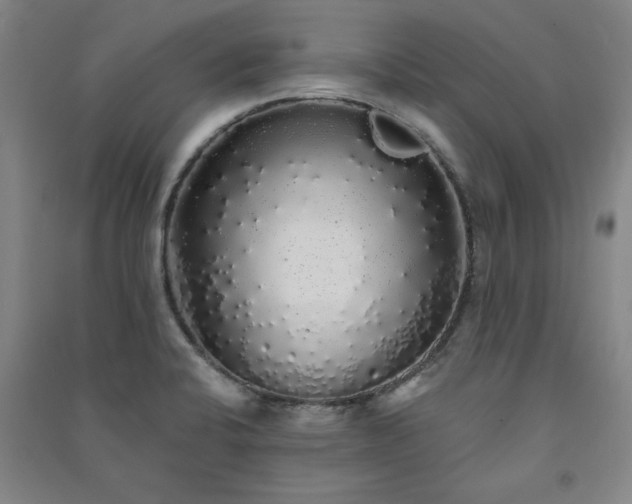 X0000091331424200708171342