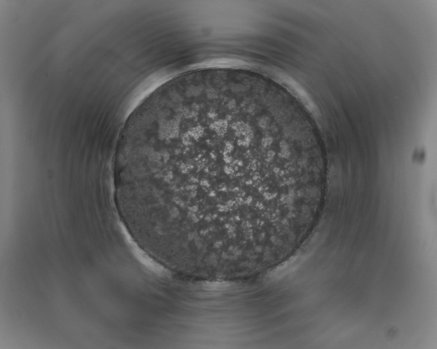 X0000091331425200708171342