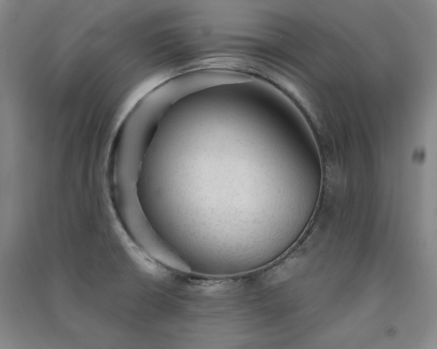 X0000091331426200708171342