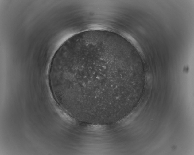 X0000091331427200708171342