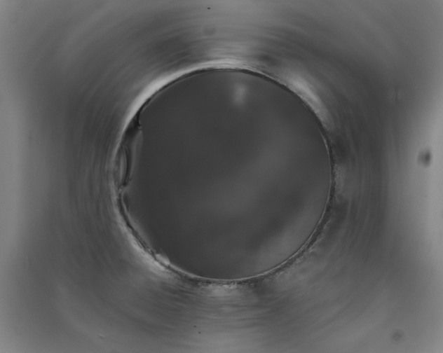 X0000091331428200708171342