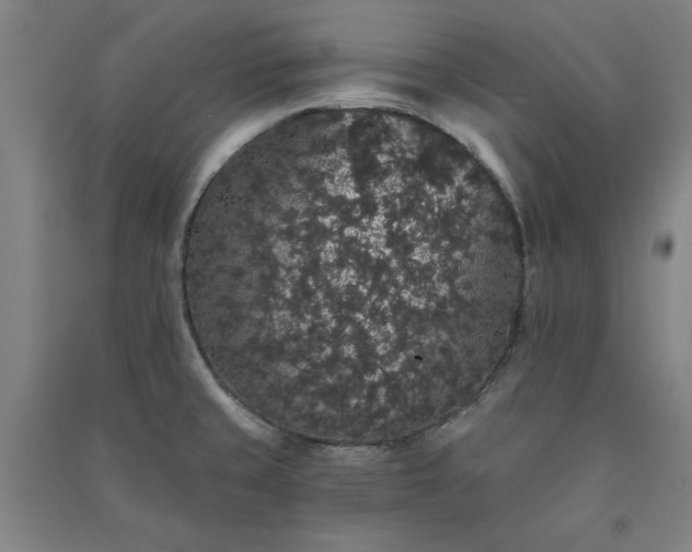 X0000091331429200708171342