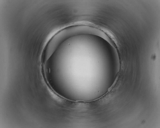 X0000091331430200708171342