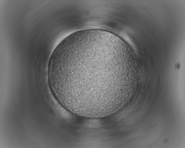 X0000091331431200708171342