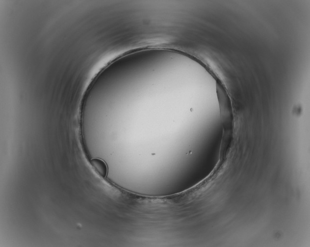 X0000091331432200708171342