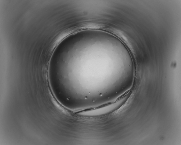 X0000091331433200708171342