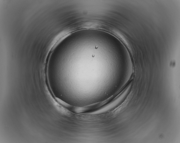 X0000091331434200708171342