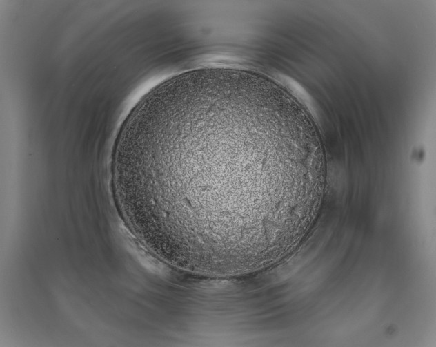 X0000091331435200708171342