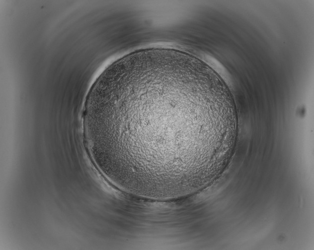 X0000091331436200708171342