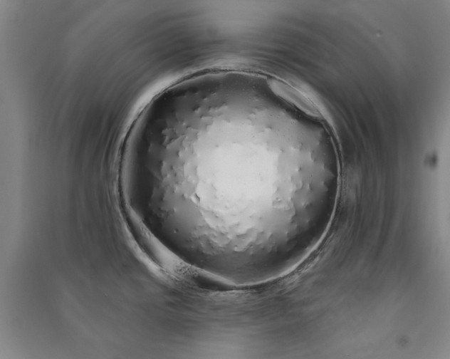 X0000091331437200708171342