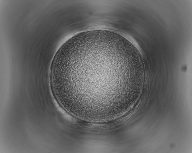 X0000091331439200708171342