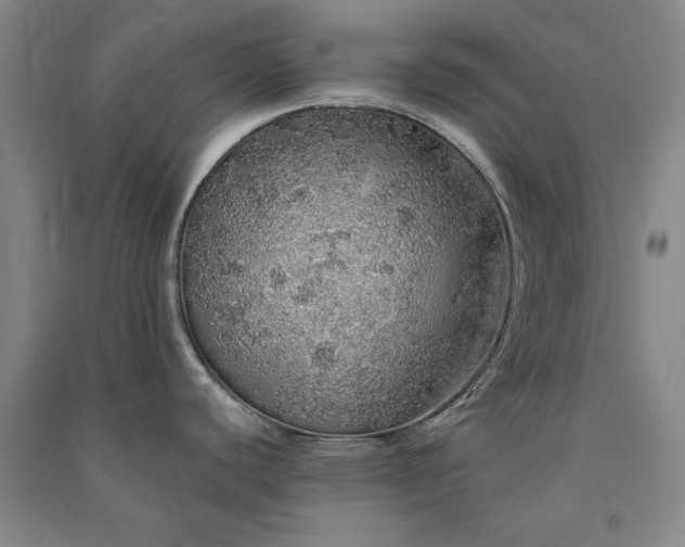 X0000091331440200708171342