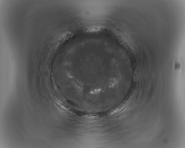 X0000091331441200708171341