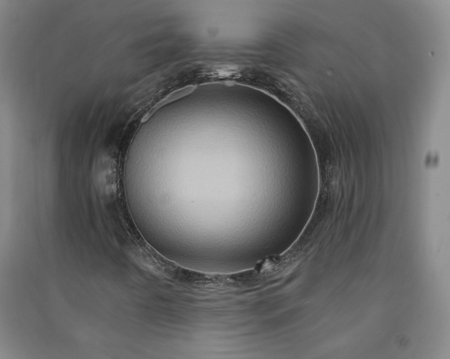 X0000091331442200708171341