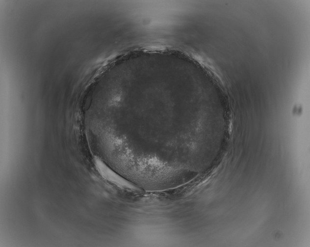 X0000091331445200708171341