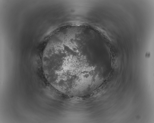 X0000091331446200708171341