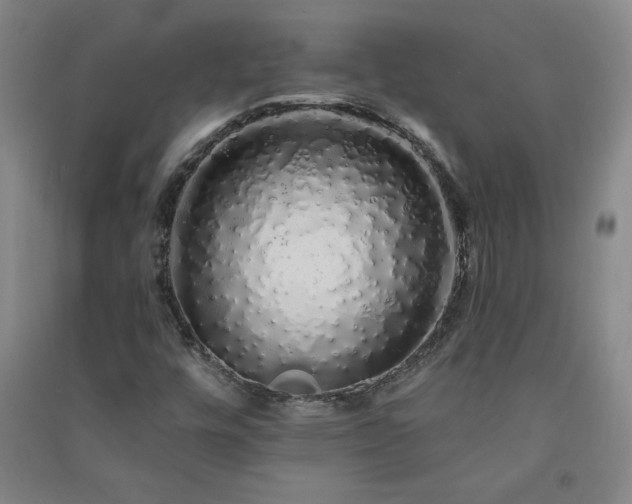 X0000091331448200708171341