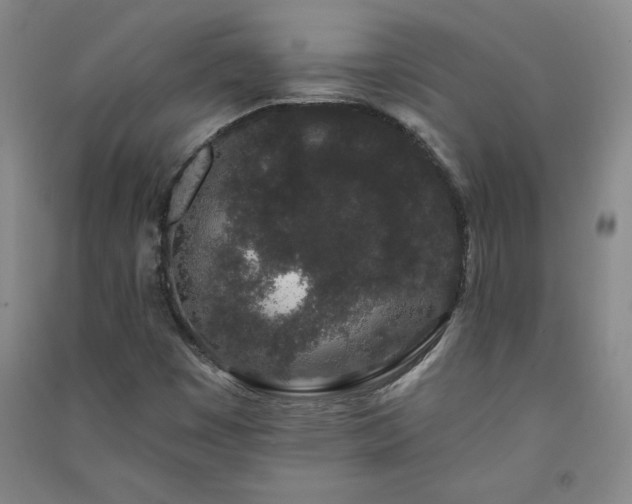 X0000091331449200708171341