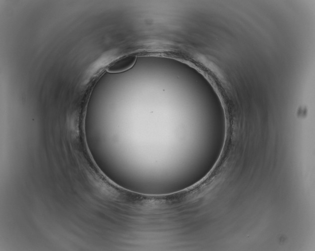 X0000091331451200708171341