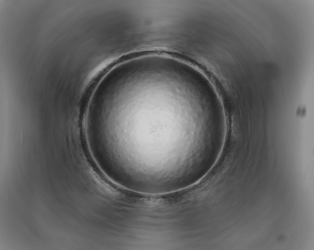 X0000091331452200708171341