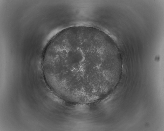 X0000091331454200708171341