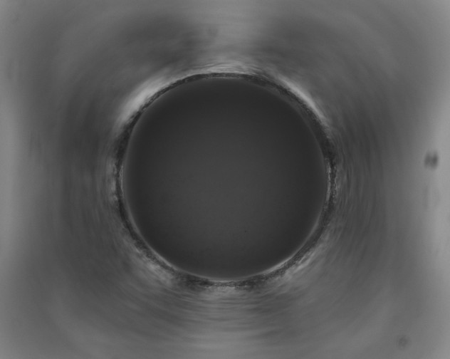 X0000091331455200708171341