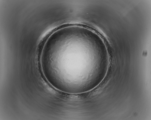 X0000091331456200708171341