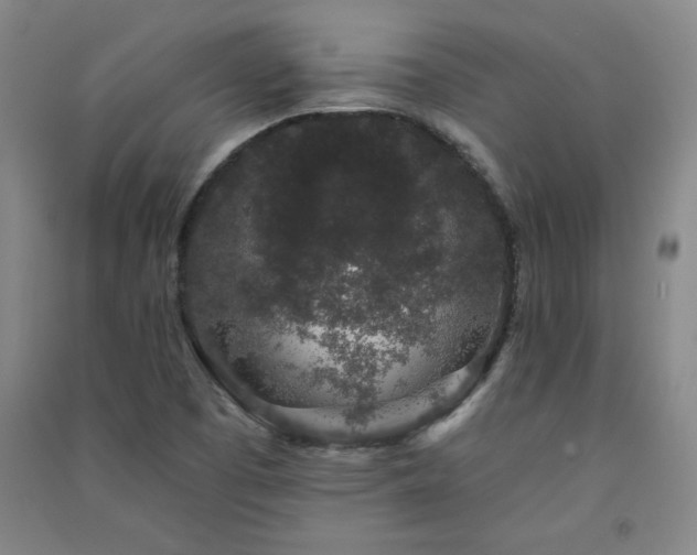 X0000091331457200708171341