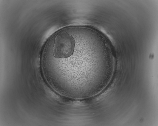 X0000091331459200708171341