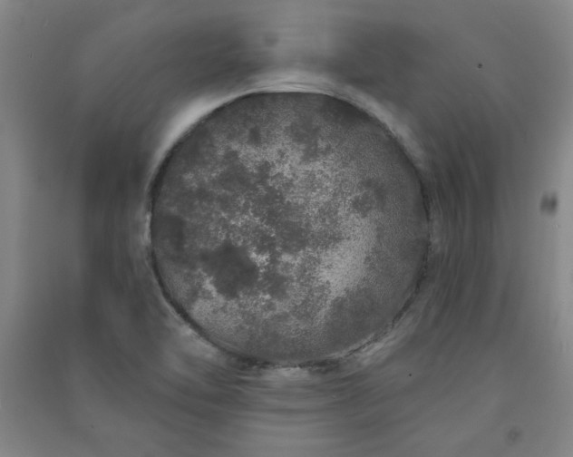 X0000091331462200708171341