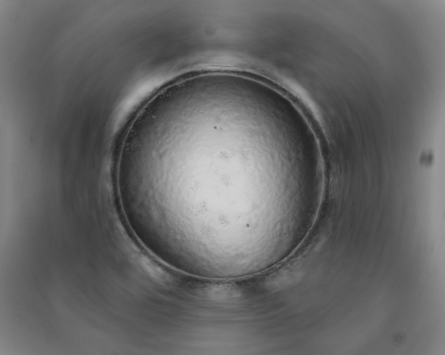 X0000091331464200708171341