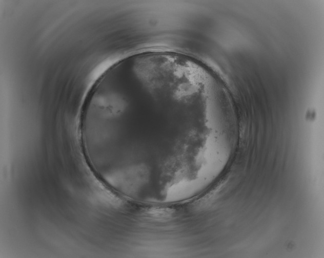 X0000091331466200708171341