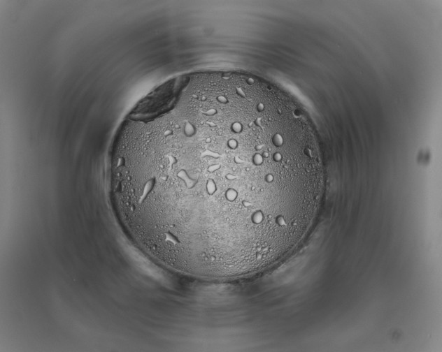 X0000091331467200708171341