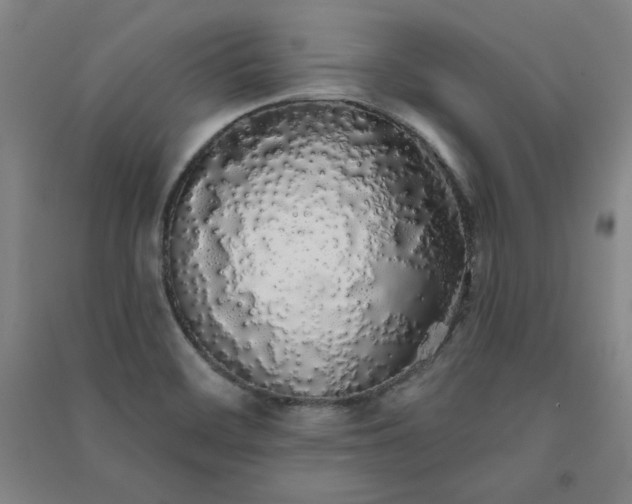 X0000091331468200708171341