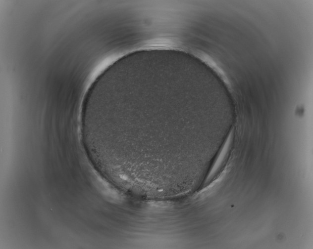 X0000091331469200708171341