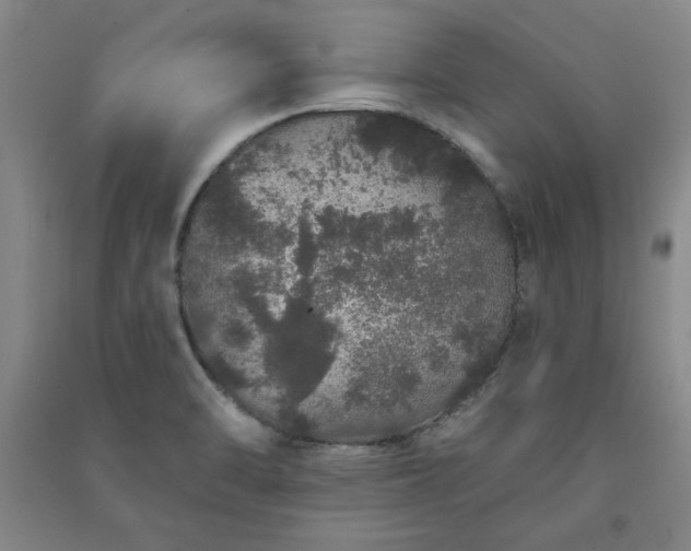 X0000091331470200708171341