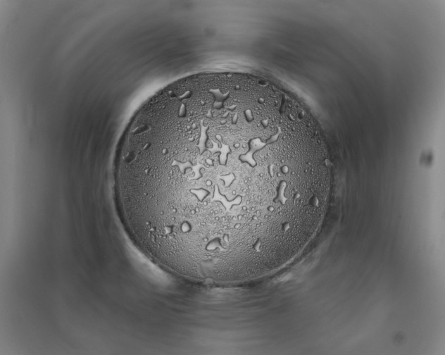 X0000091331471200708171341