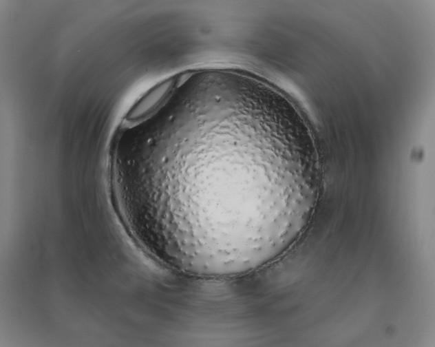 X0000091331472200708171341