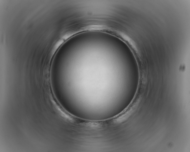 X0000091331473200708171341