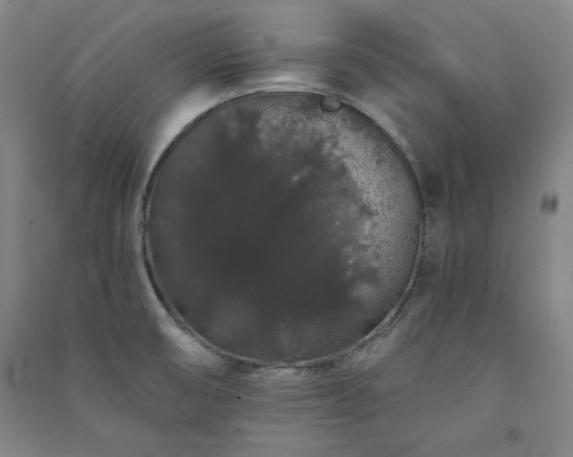 X0000091331474200708171341